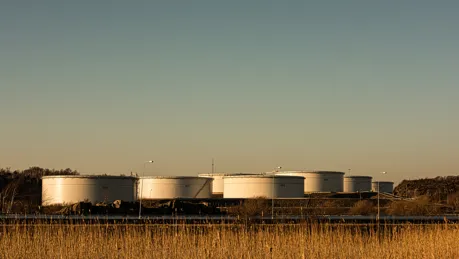 iStock-1219797284.jpg.