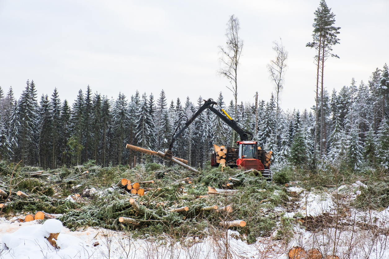 iStock-1356314960.jpg.