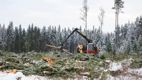 iStock-1356314960.jpg.