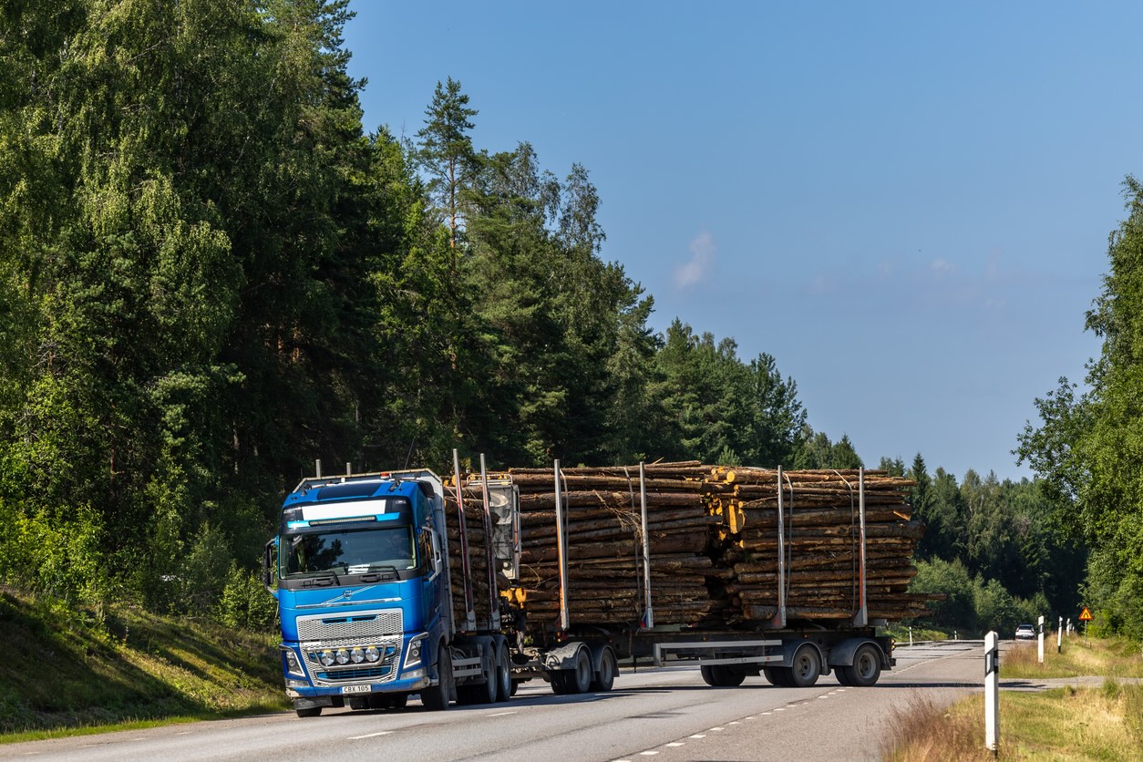 iStock-2234068118_low.jpg.