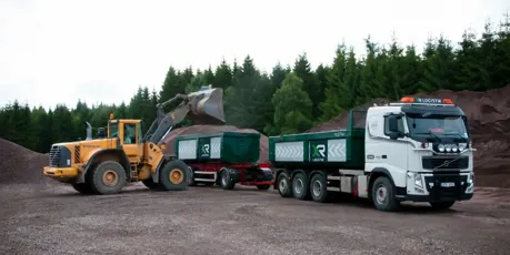 XR Logotyper I FöRetagsgröNt Webb.