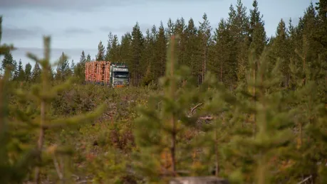 20100903 ErikViklund 693 ETT_Skogforsk.jpg.