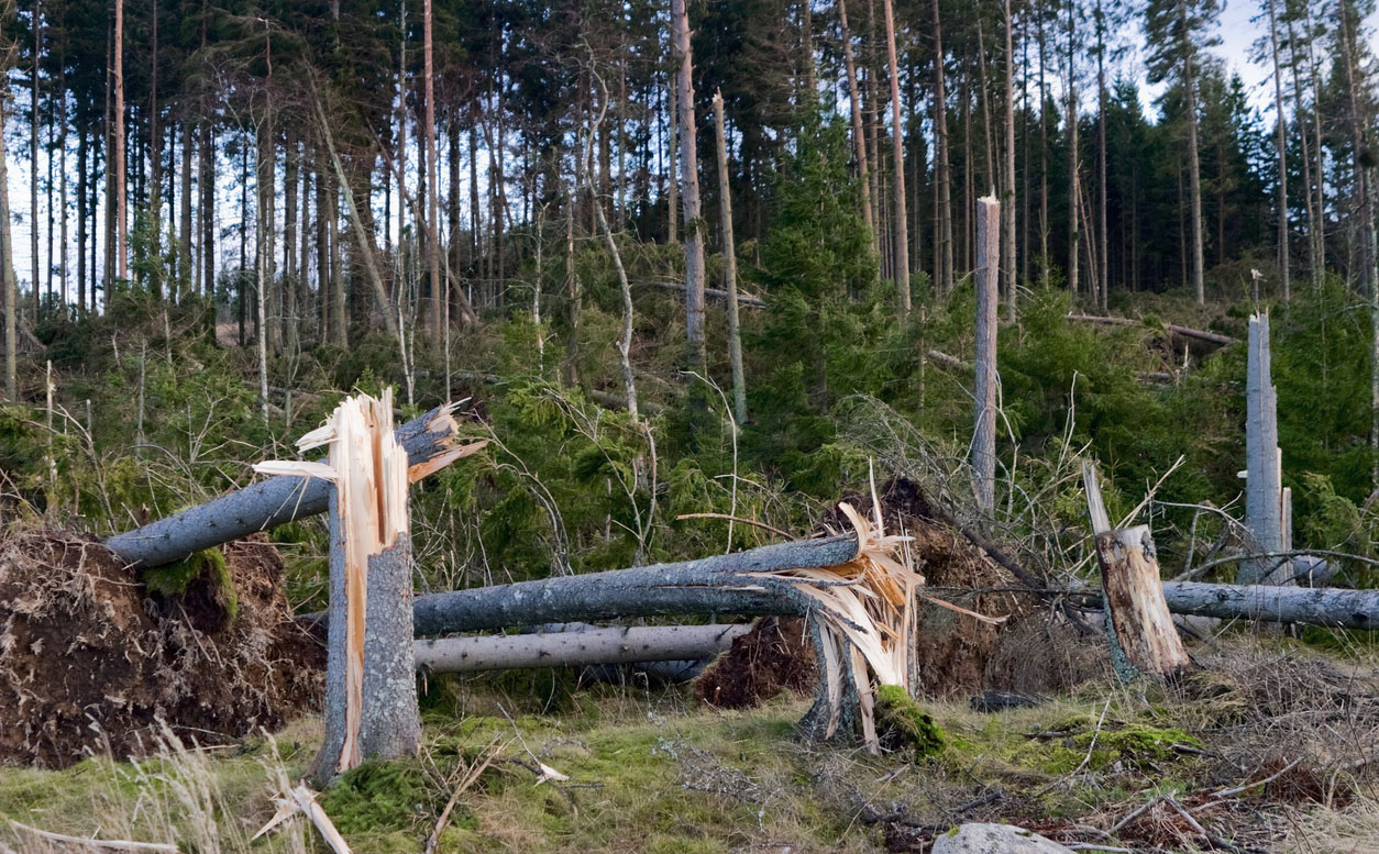 iStock-146808874_low.jpg.