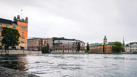 iStock-968588208_low.jpg.