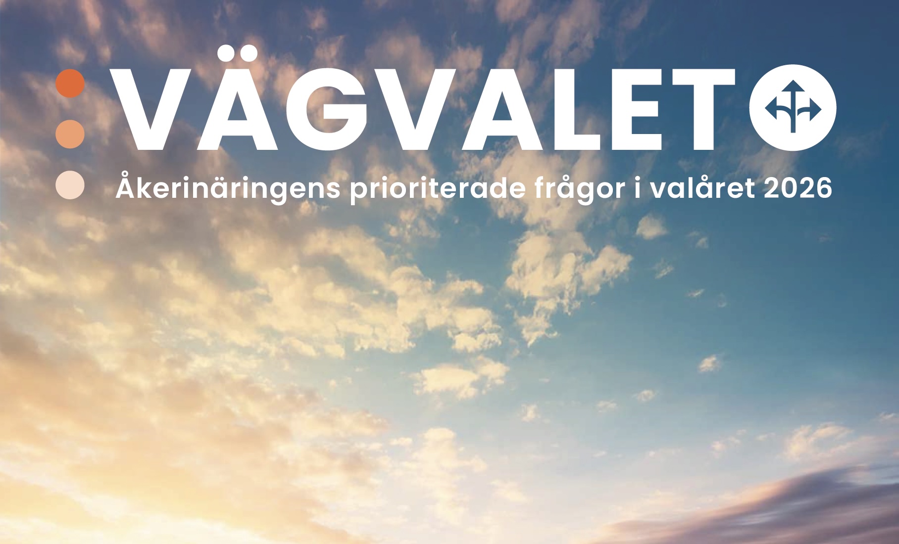 Skärmavbild  Vägvalet 2026.jpg.