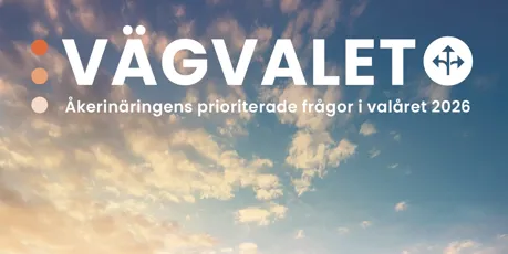 Skärmavbild Vägvalet 2026.jpg.