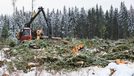 iStock-1436056481_low.jpg.