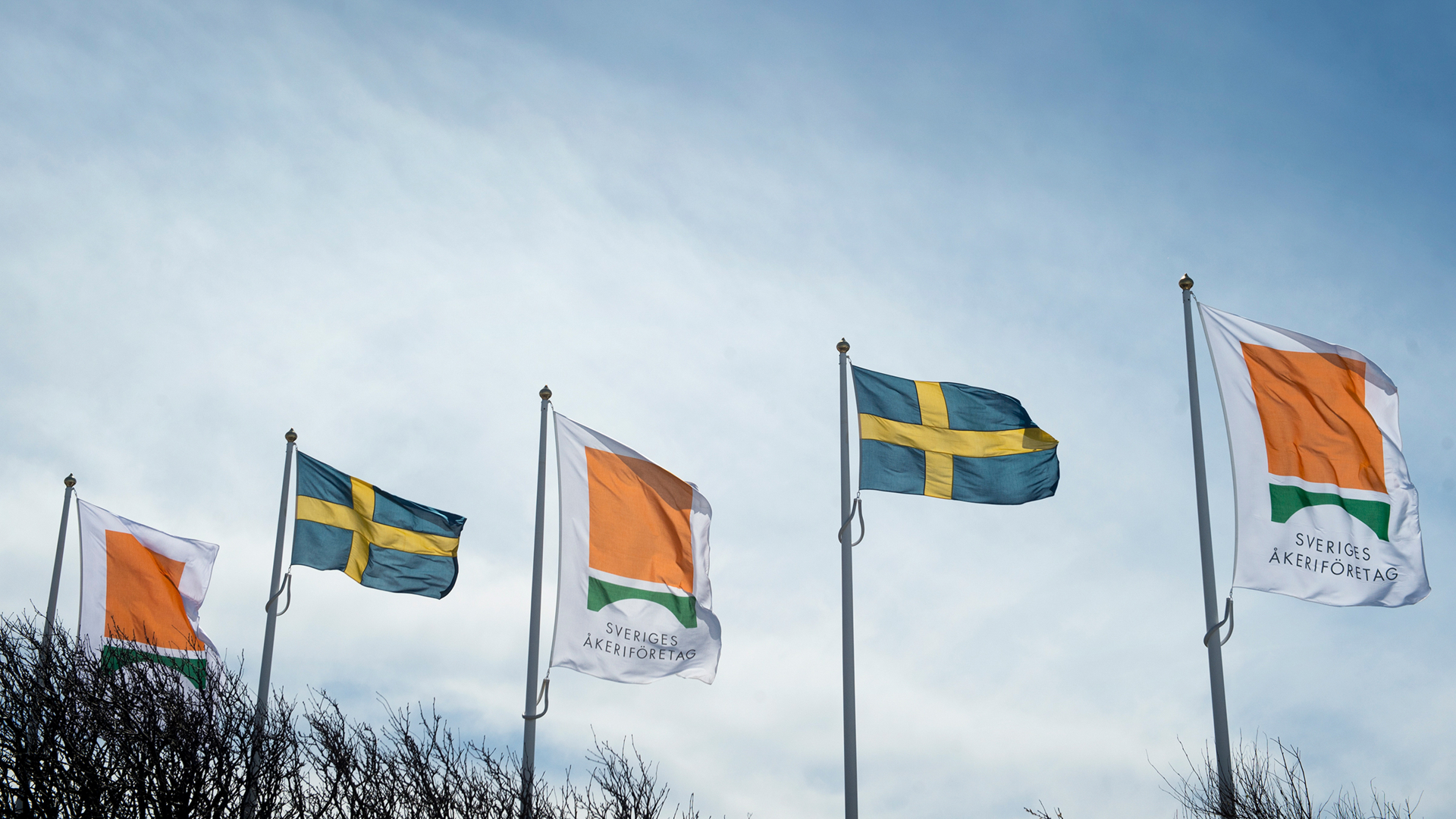 sverigesakeriforetag-flaggor.jpg.