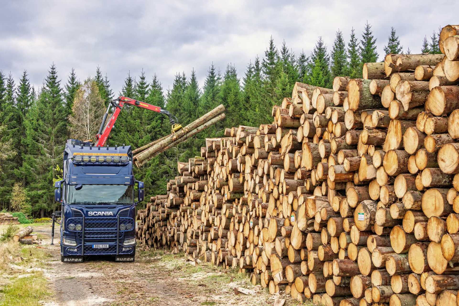 iStock-2233284507_low.jpg.