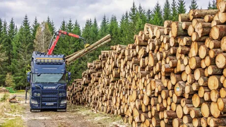 iStock-2233284507_low.jpg.